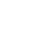 brain